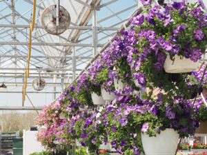 jardinière verticale