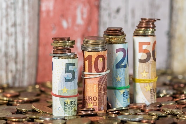 maîtrise de budget