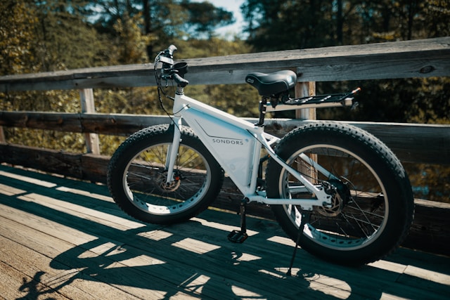 vélo électrique
