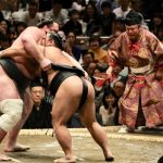 Sumo
