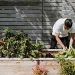Entretien du jardin