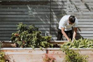 Entretien du jardin